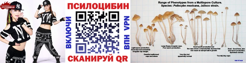 Галлюциногенные грибы мухоморы Санкт-Петербург
